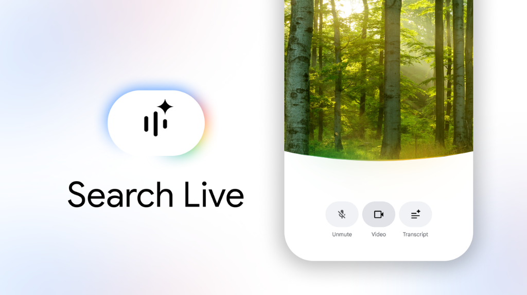 Live Web Search Engine